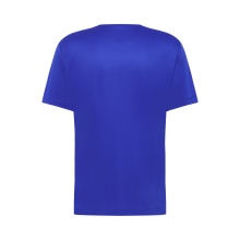 Jack Wolfskin Hiking T-Shirt Peak Graphic T (breathable, quick-drying) blue men's