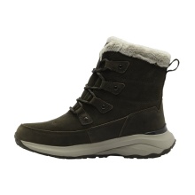 Jack Wolfskin Dromoventure Texapore High Winter Boots (Texawarm insulation, waterproof) brown Ladies