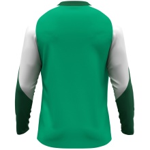 JAKO Sport Long Sleeve Shirt Dynamic (Polyester Eyelet) green/white/dark green children
