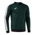 Joma Pullover Sweatshirt Heroic (100% Polyester, fleece fabric) dark green men's