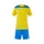 Joma tracksuit (shorts and short-sleeved shirt) Phoenix III set yellow/royal blue men's