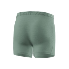 Löffler Functional Underwear Boxershorts Merino Light (light, temperature regulation) pine green men's