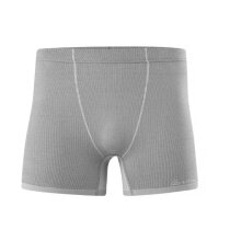 Löffler functional underwear boxershorts Transtex Light Retr'X grey men's