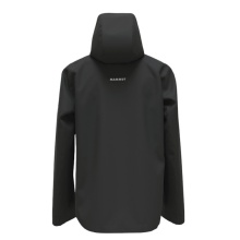 Mammut Hardshell Hiking Jacket Crater Light HS Hooded (waterproof, breathable) black men's
