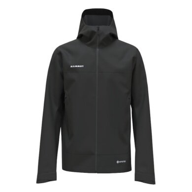 Mammut Hardshell Hiking Jacket Crater Light HS Hooded (waterproof, breathable) black men's