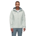 Mammut Hardshell Hiking Jacket Treeline HS Hooded (2-layer, waterproof, windproof) silver/grey men's