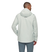 Mammut Hardshell Hiking Jacket Treeline HS Hooded (2-layer, waterproof, windproof) silver/grey men's