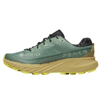 Merrell Trail Running Shoes Agility Peak 5 GTX (waterproof, Rock Plate) teal green/beige men's