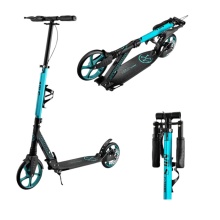 Nils Extreme Scooter HM124T with disc brake (foldable scooter, bearings: ABEC 7) black/turquoise