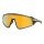 Oakley Latch panel sunglasses (lens colour: Prizm 24k) grey - 1 pair of glasses