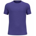 Odlo Sport Leisure T-shirt Essential 365 (lightweight, moisture-regulating) purple men's
