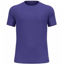 Odlo Sport Leisure T-shirt Essential 365 (lightweight, moisture-regulating) purple men's