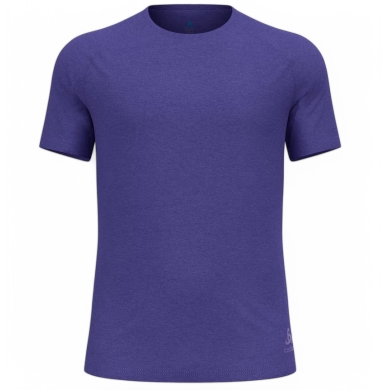 Odlo Sport Leisure T-shirt Essential 365 (lightweight, moisture-regulating) purple men's
