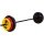 Pure2Improve Fitness Barbell Set 20kg