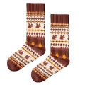 Polar Star Daily Sock Crew Ekorn (Cotton, warm) brown/multicoloured - 1 pair