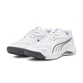 Puma Indoor Court Shoes Solarstrike II white/grey Men