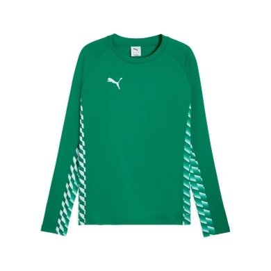 Puma Sport Long Sleeve Shirt teamLIGA26 Training Sweat (100% recycled Polyester, breathable) green Men's