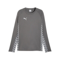 Puma Sport Long Sleeve Shirt teamLIGA26 Training Sweat (100% recycled Polyester, breathable) grey Men's