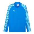 Puma Sport Long Sleeve Shirt teamLIGA26 Training 1/4 Zip Top (100% recycled Polyester, breathable) blue Men's