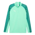 Puma Sport Long Sleeve Shirt teamLIGA26 Training 1/4 Zip Top (100% recycled Polyester, breathable) mint green Men's