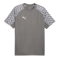 Puma Sports T-shirt teamLIGA26 Jersey (100% recycled Polyester, breathable) grey Men's