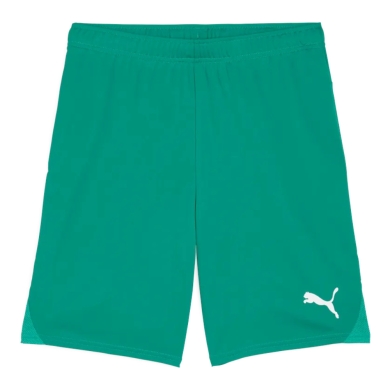 Puma teamGOAL Sports Shorts (100% recycled Polyester) short green men's