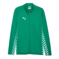 Puma teamLIGA26 Training Jacket (Full-Zip, 100% recycled Polyester, breathable) green Men's