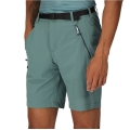 Regatta Hiking Shorts Bermuda Xert III (water-repellent and quick-drying) short blue-green Men