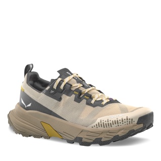 Salewa Pedroc 2 Max Hiking Shoes (Speed-Hiking) beige/grey Men's