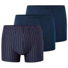 Schiesser Underwear Boxer Shorts 95/5 Organic Cotton multi-coloured dark blue/striped 922 Men's - 3 pieces