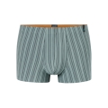 Schiesser Long Life Soft Boxershorts 183146 mineral green striped for men - 1 piece