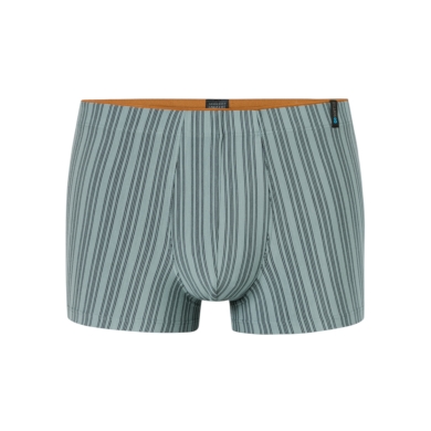 Schiesser Long Life Soft Boxershorts 183146 mineral green striped for men - 1 piece