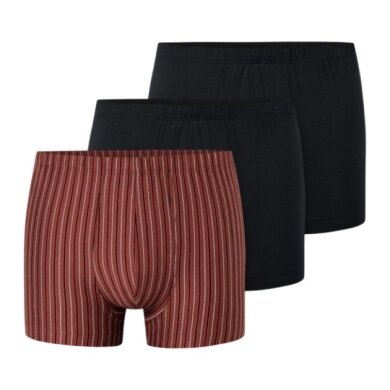 Schiesser Underwear Boxer Shorts 95/5 Organic Cotton multi-coloured black/red-brown/striped 924 Men's - 3 pieces