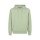 U.S. Polo Assn. Hooded Sweatshirt Garment Dyed (100% Cotton) green Men's