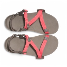 Xero Shoes Z-Trail EV Sandals brown/coral red for women