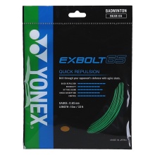 Yonex Badminton String Exbolt 65 (Control) green 10m set