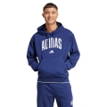 adidas Collegiate Hoodie (Cotton Blend) blue Men's