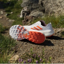 adidas Trail Running Shoes Terrex Agravic Speed white men