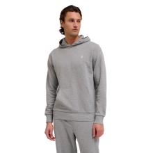Hummel hmlPULSE Sweat Hoodie (Cotton, comfortable fit) grey Men's
