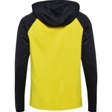 Hummel sports training jacket hmlLEAD 2.0 zip hoodie (high breathability, quick-drying) yellow/black men's