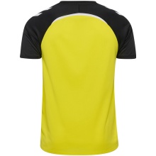 Hummel Sport T-shirt hmlLEAD 2.0 Jersey (recycled polyester, quick-drying) yellow/black men's