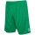 Hummel essential sports shorts (comfortable fit) short green men's