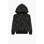 Champion Hoodie American Classic Champion Print (lined) black Girls
