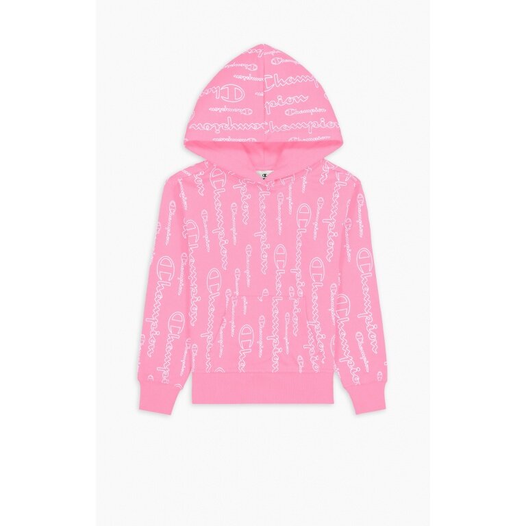 Champion Hoodie American Classic Champion Print Hoodie (lined) pink Girls