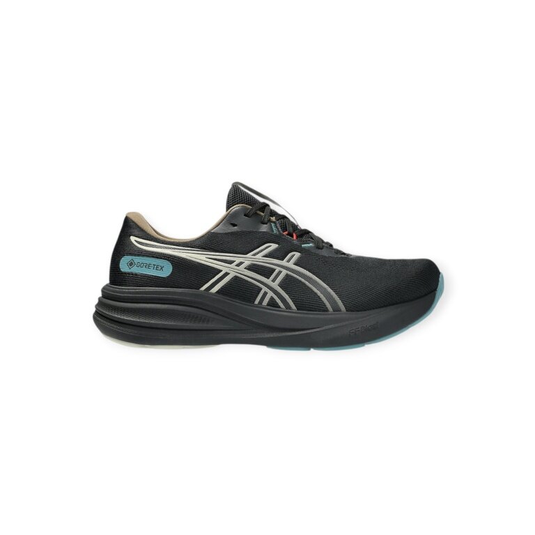 Asics running shoes Gel Pulse 17 GTX (cushioning, waterproof) black men's