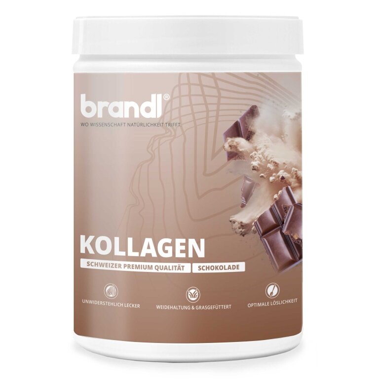 Brandl Collagen Powder Chocolate 555g Can