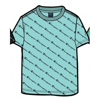 Champion Leisure T-shirt (Cotton) Champion Small Logo Print Light Blue Kids