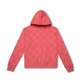Champion Hoodie American Classic pink Girls