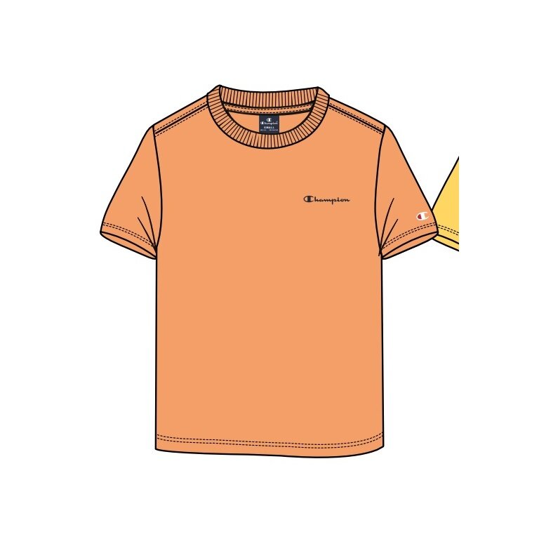 Champion Leisure T-shirt (Cotton) Crew with Small Logo Lettering 2023 orange Boys