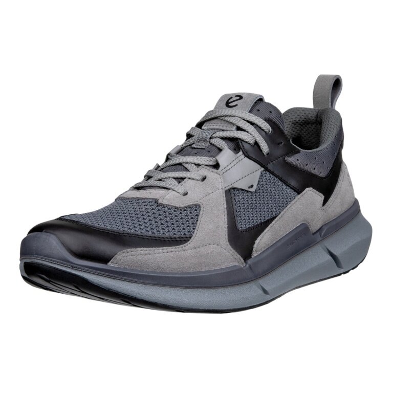 ECCO Biom 2.2 Sneakers (ECCO leather) grey/black men's